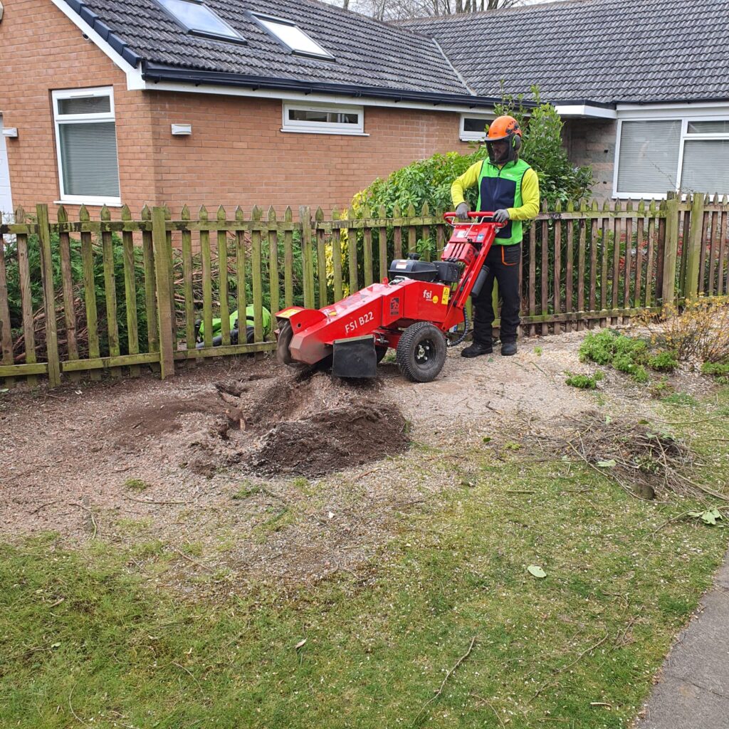 stump grinding