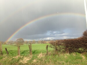 Rainbow after a hedge trimming