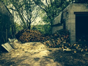 Piles of Logs ready for selling