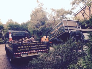 Tree Removal clean up with logs in the back of North Cheshire Forestry Truck