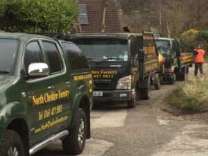 North Cheshire Forestry Trucks in a row